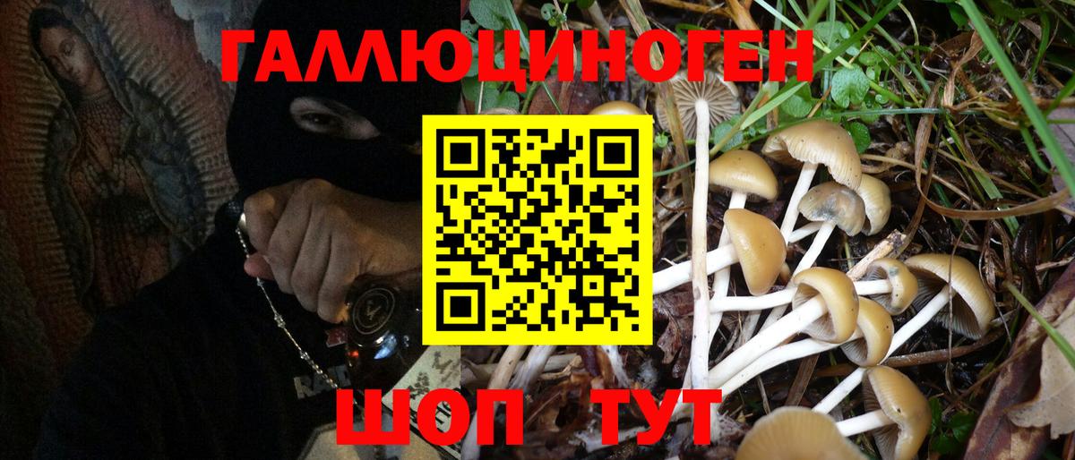 Псилоцибиновые грибы MAGIC MUSHROOMS Заводоуковск